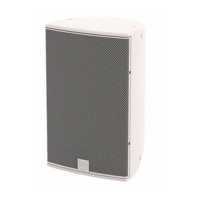 MARTIN AUDIO CDD12W-WR